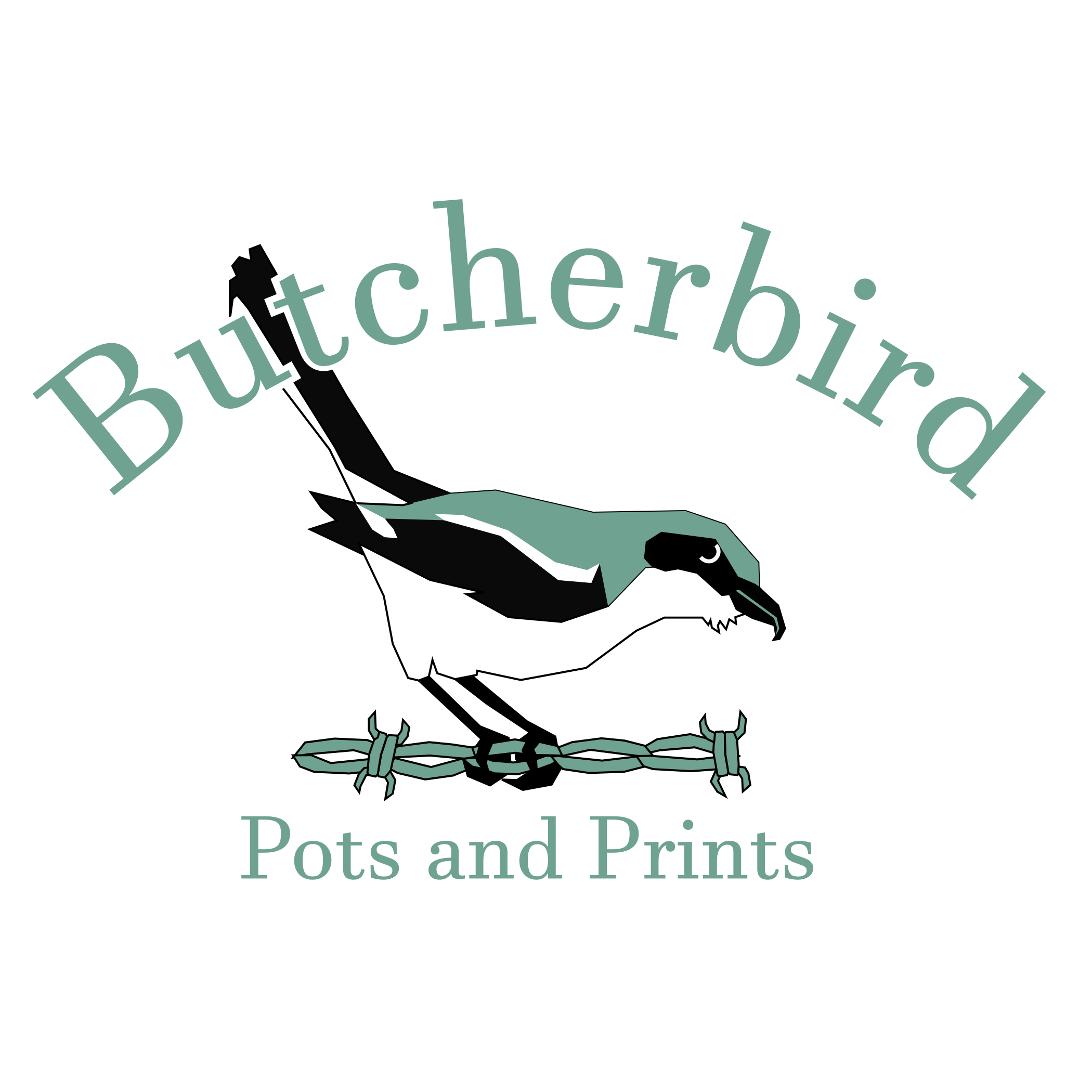 Butcherbird Pots and Prints